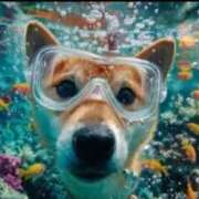 ヒメ日記 2025/09/28 09:41 投稿 はるみ 実録！おとなのわいせつ倶楽部