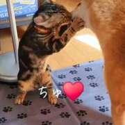 ヒメ日記 2025/10/22 15:18 投稿 はるみ 実録！おとなのわいせつ倶楽部