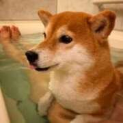 ヒメ日記 2025/11/02 11:48 投稿 はるみ 実録！おとなのわいせつ倶楽部