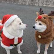 ヒメ日記 2025/12/25 15:08 投稿 はるみ 実録！おとなのわいせつ倶楽部