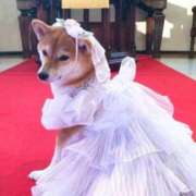 ヒメ日記 2026/01/23 20:08 投稿 はるみ 実録！おとなのわいせつ倶楽部