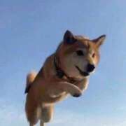 ヒメ日記 2026/01/25 10:28 投稿 はるみ 実録！おとなのわいせつ倶楽部