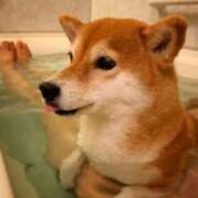 ヒメ日記 2026/02/11 22:08 投稿 はるみ 実録！おとなのわいせつ倶楽部