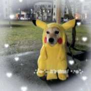 ヒメ日記 2026/02/13 15:18 投稿 はるみ 実録！おとなのわいせつ倶楽部