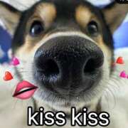 ヒメ日記 2026/03/12 13:38 投稿 はるみ 実録！おとなのわいせつ倶楽部