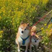 ヒメ日記 2026/03/18 16:38 投稿 はるみ 実録！おとなのわいせつ倶楽部