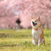 ヒメ日記 2026/03/24 20:28 投稿 はるみ 実録！おとなのわいせつ倶楽部