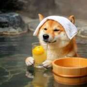 ヒメ日記 2026/03/26 22:38 投稿 はるみ 実録！おとなのわいせつ倶楽部