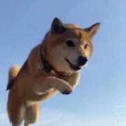 ヒメ日記 2026/04/15 10:29 投稿 はるみ 実録！おとなのわいせつ倶楽部