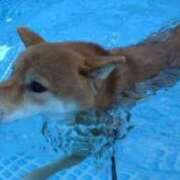 ヒメ日記 2026/04/19 13:28 投稿 はるみ 実録！おとなのわいせつ倶楽部