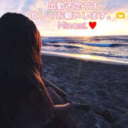 ヒメ日記 2025/03/17 17:28 投稿 みなみ BAD COMPANY（バッドカンパニー）