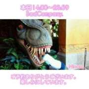 ヒメ日記 2025/04/23 11:20 投稿 みなみ BAD COMPANY（バッドカンパニー）