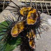 ヒメ日記 2025/06/14 20:33 投稿 ひかる BAD COMPANY（バッドカンパニー）