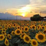 ヒメ日記 2025/09/14 18:40 投稿 ひかる BAD COMPANY（バッドカンパニー）