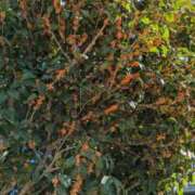 ヒメ日記 2025/10/28 09:38 投稿 ひかる BAD COMPANY（バッドカンパニー）