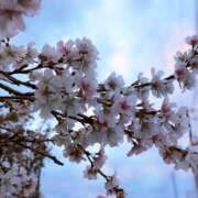 ひかる エロ画像なくてごめんw BAD COMPANY（バッドカンパニー）