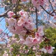 ひかる おはよー BAD COMPANY（バッドカンパニー）