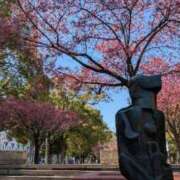 ヒメ日記 2026/03/13 08:15 投稿 ひかる BAD COMPANY（バッドカンパニー）