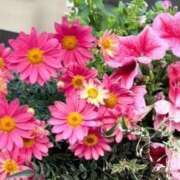 ヒメ日記 2025/05/01 14:31 投稿 ひな BAD COMPANY（バッドカンパニー）