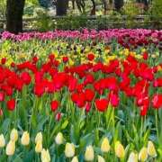 ひな [お題]from:フリスク一気さん BAD COMPANY（バッドカンパニー）