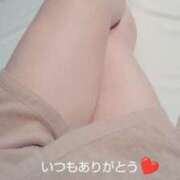 ひな 感謝 BAD COMPANY（バッドカンパニー）