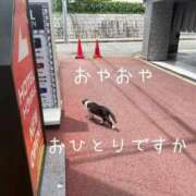 ヒメ日記 2026/07/13 15:46 投稿 えりか 熟女家 京橋店