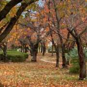 しゅん 秋 ぷるるん小町日本橋店