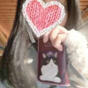 ヒメ日記 2025/02/20 23:53 投稿 土岐おりえ セレブショップ新宿（東京ハレ系）