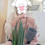 ヒメ日記 2025/03/05 14:07 投稿 土岐おりえ セレブショップ新宿（東京ハレ系）