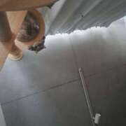 ヒメ日記 2025/07/06 18:48 投稿 土岐おりえ セレブショップ新宿（東京ハレ系）