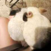 ヒメ日記 2024/12/22 23:35 投稿 まゆ ピュアコス学園