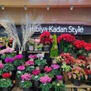 ヒメ日記 2024/12/14 18:24 投稿 ふみ 人妻小旅行～神奈川県央編