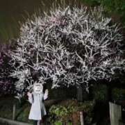 ヒメ日記 2025/03/11 20:51 投稿 ふみ 人妻小旅行～神奈川県央編