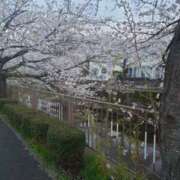 ヒメ日記 2025/04/05 23:31 投稿 ふみ 人妻小旅行～神奈川県央編