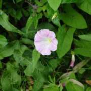 ヒメ日記 2025/06/03 18:33 投稿 ふみ 人妻小旅行～神奈川県央編