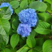 ヒメ日記 2025/06/08 20:16 投稿 ふみ 人妻小旅行～神奈川県央編