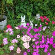 ヒメ日記 2025/07/29 18:14 投稿 ふみ 人妻小旅行～神奈川県央編