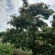 ヒメ日記 2025/10/21 18:04 投稿 ふみ 人妻小旅行～神奈川県央編