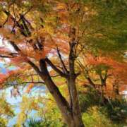 ヒメ日記 2025/11/23 20:51 投稿 ふみ 人妻小旅行～神奈川県央編