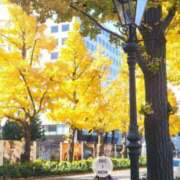 ヒメ日記 2025/12/02 18:20 投稿 ふみ 人妻小旅行～神奈川県央編