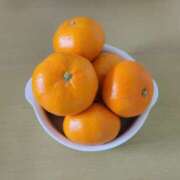 ヒメ日記 2026/01/04 21:44 投稿 ふみ 人妻小旅行～神奈川県央編