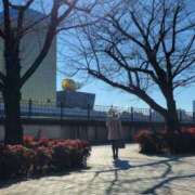 ヒメ日記 2026/01/09 20:47 投稿 ふみ 人妻小旅行～神奈川県央編