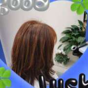 ヒメ日記 2026/01/23 21:05 投稿 ふみ 人妻小旅行～神奈川県央編