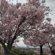 ヒメ日記 2024/04/06 07:39 投稿 たかこ 妻天 梅田店