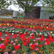 ヒメ日記 2025/04/24 10:47 投稿 たかこ 妻天 梅田店