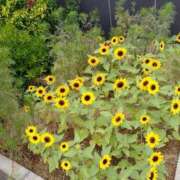 ヒメ日記 2025/07/24 10:39 投稿 たかこ 妻天 梅田店