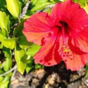 ヒメ日記 2025/09/27 18:37 投稿 たかこ 妻天 梅田店