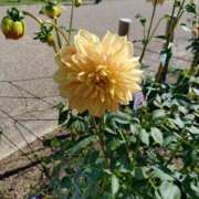 ヒメ日記 2025/10/19 07:47 投稿 たかこ 妻天 梅田店