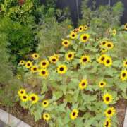 ヒメ日記 2025/11/01 00:17 投稿 たかこ 妻天 梅田店