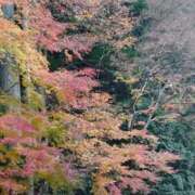 たかこ おはようございます😊 妻天 梅田店